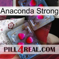 Anaconda Strong 15